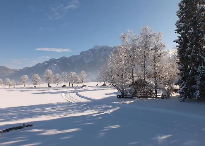 Der Helmerhof Allgaeu Hideaway 3* シュヴァンガウ